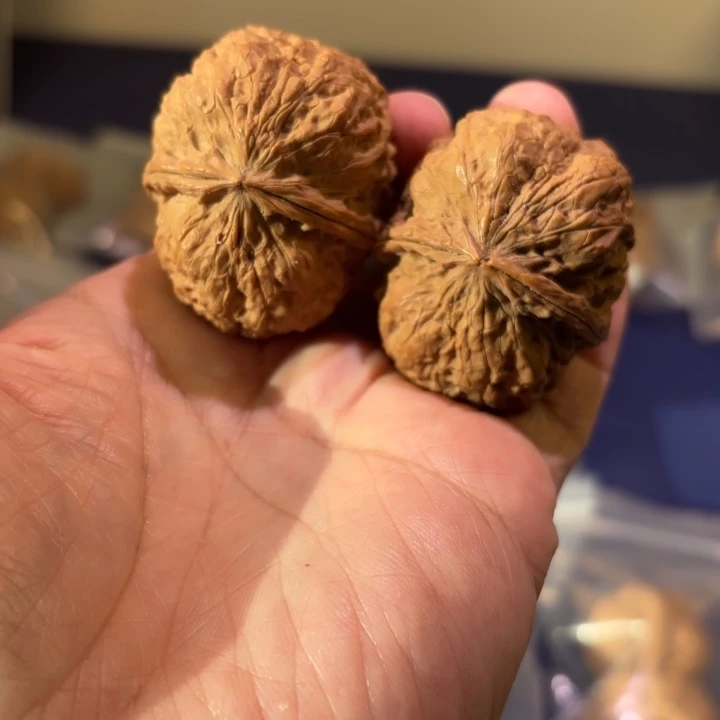 吊坠文玩核桃琵琶蟾王