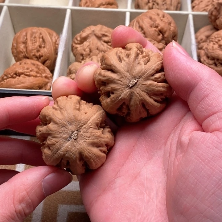 把件文玩核桃飓**袭