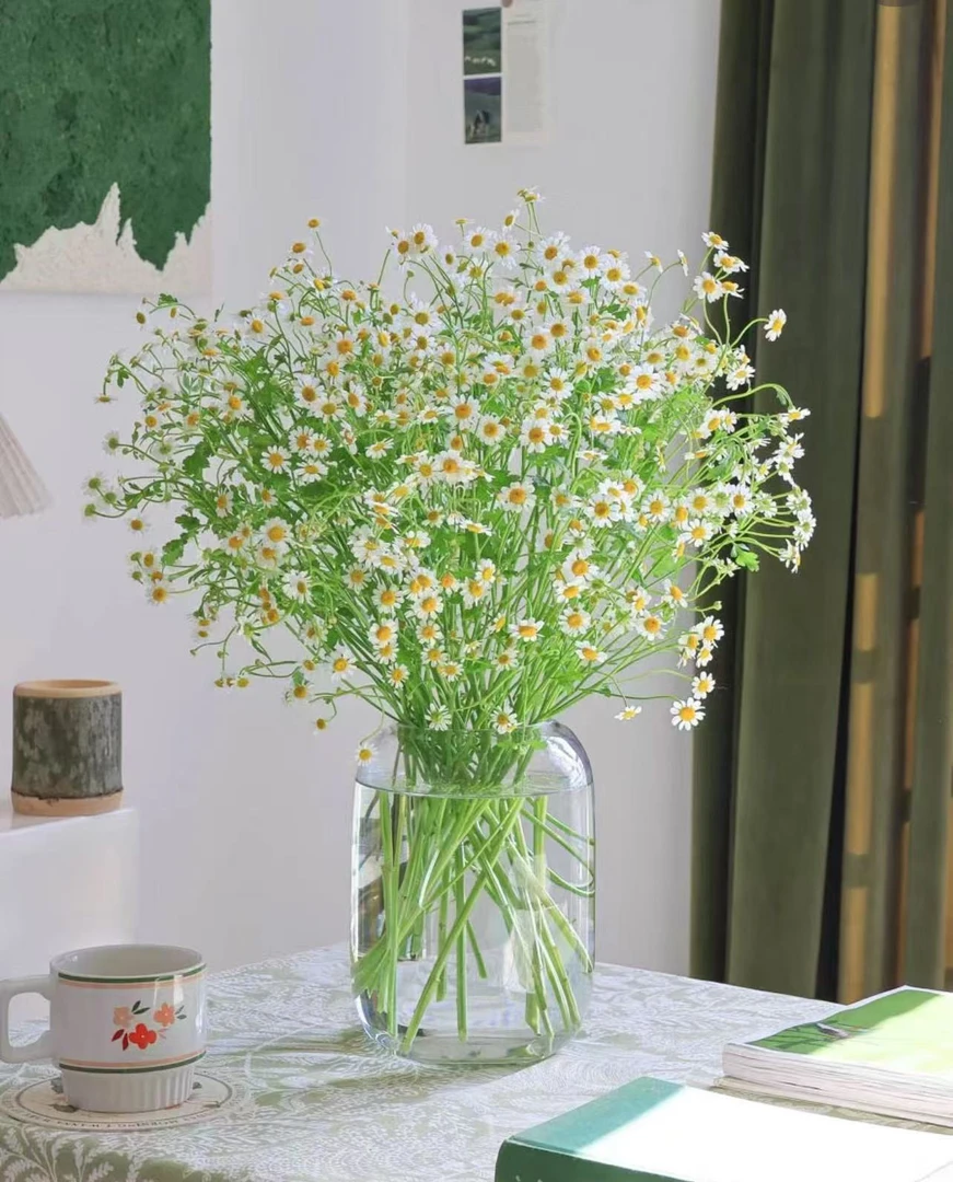 【洋甘菊5枝】鲜花本地发货同城1小时送达