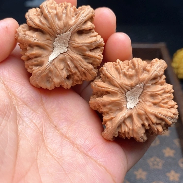 文玩核桃把件宝石41尺