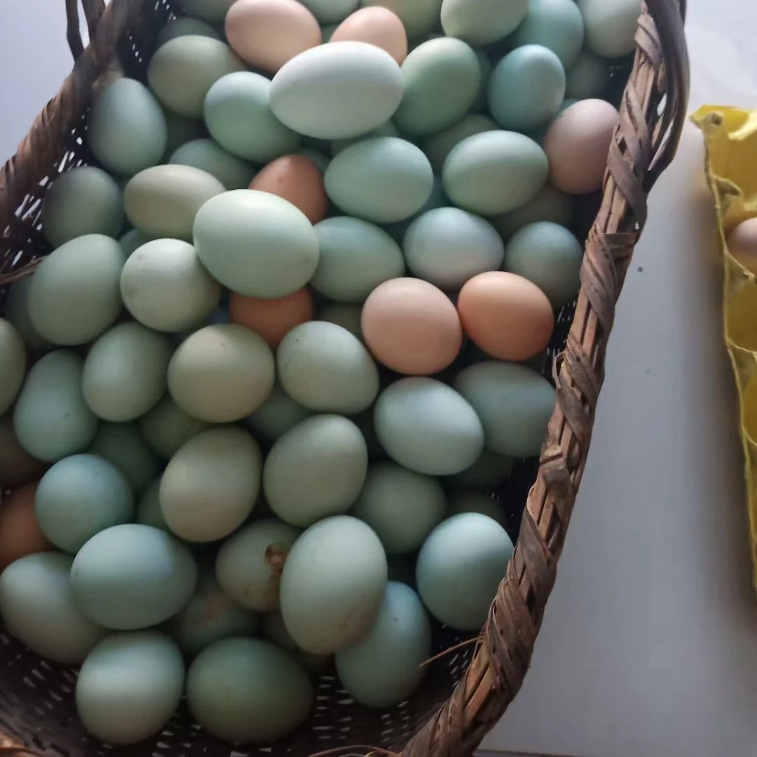 正宗农村自家散养土鸡蛋50枚高营养