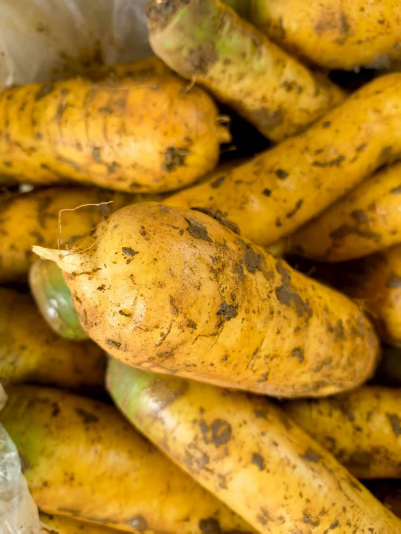 正宗山西黄胡萝卜农家蔬菜