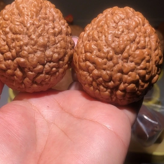 文玩核桃把件脑纹金刚菩提