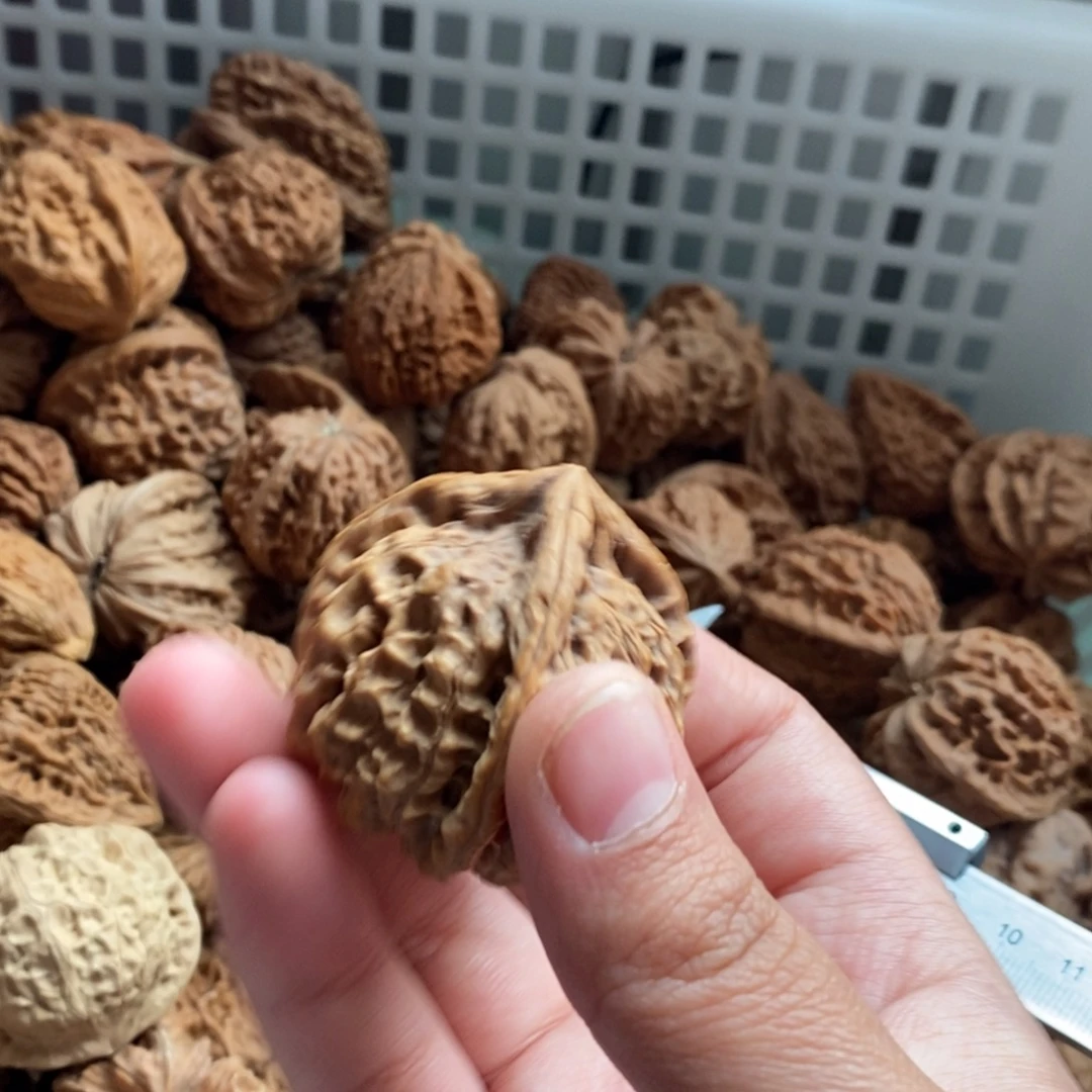 *****大叶紫檀（黑酸枝木类）