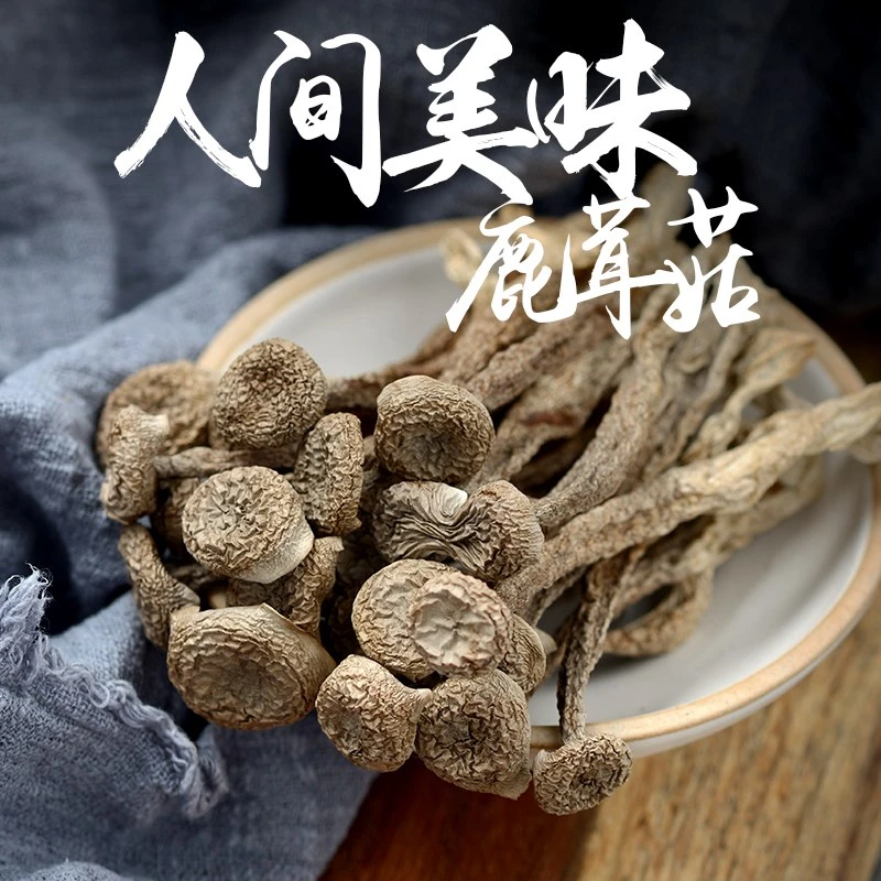 【农家鹿茸菇干货】脆脆菇干货无熏硫炒菜报摊凉拌食材菌香四溢