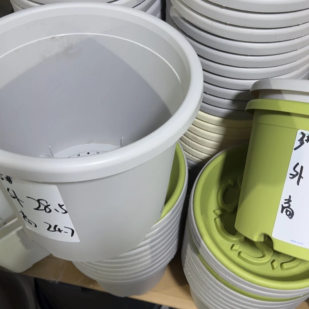 树脂微瑕6号2个无托，灰白