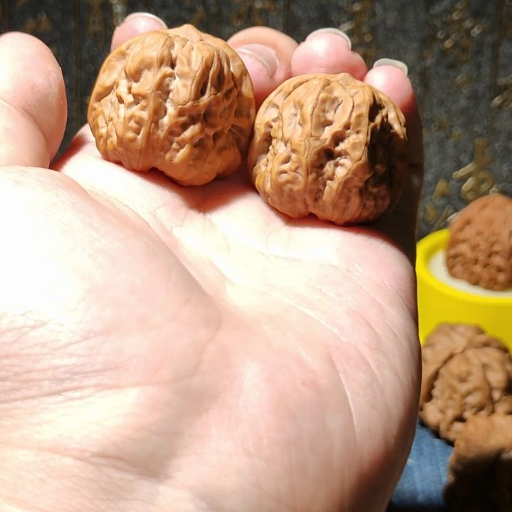 文玩核桃把件蛤蟆头