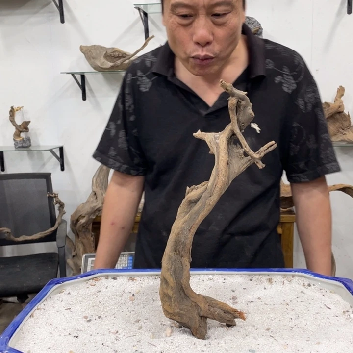 独***水我们都是好孩子呀