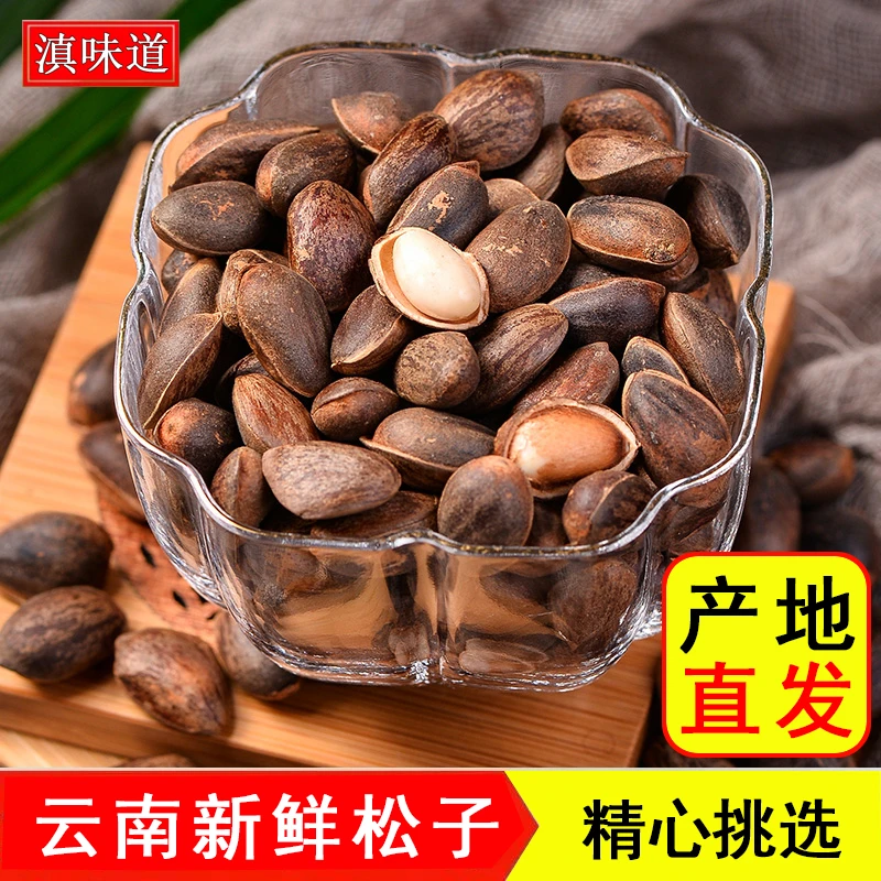 云南新鲜薄壳松子未加工无添加生吃 原味松子饱满 半斤/1/2/4/8斤