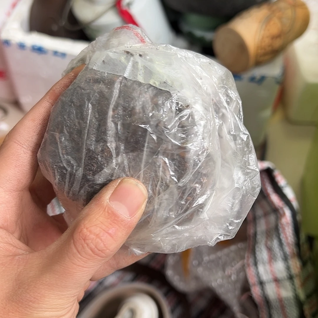 回***前杂色豆（科檀/科特迪瓦檀木）