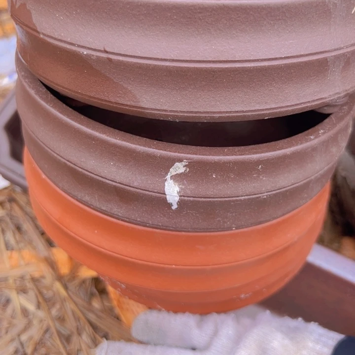 紫砂吸收紫砂紫砂紫砂吸收