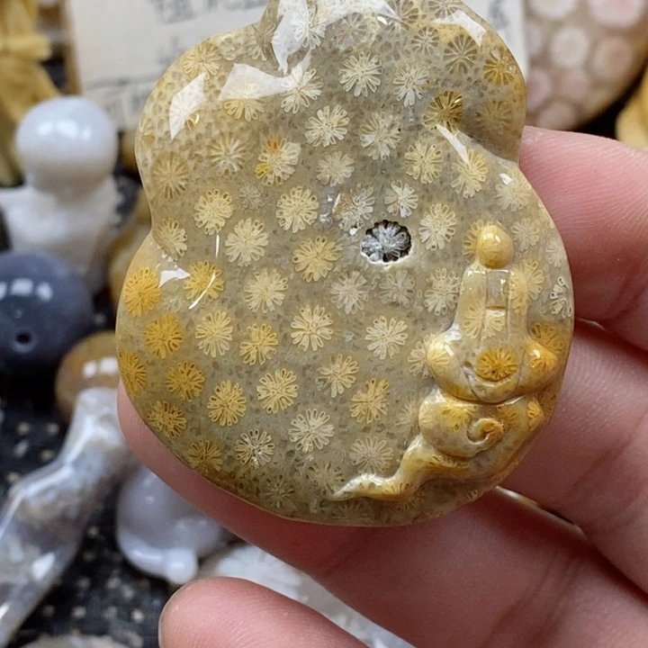 颈饰未镶嵌硅化珊瑚（珊瑚玉）有瑕