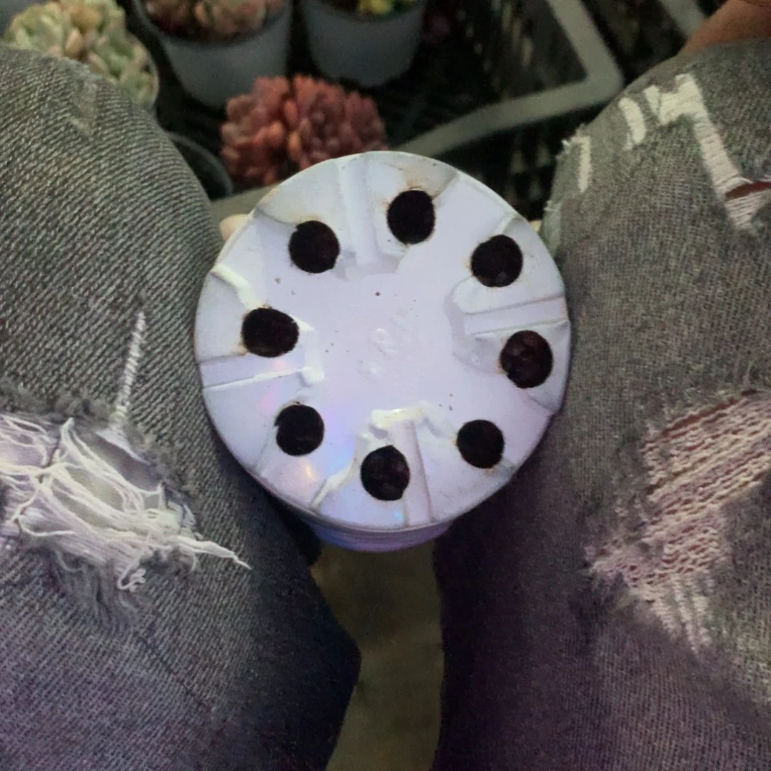 那好你在干什么的我等