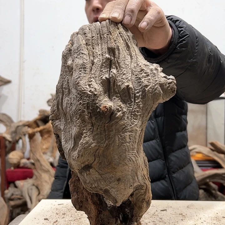 柏木皮*我们的生活也是