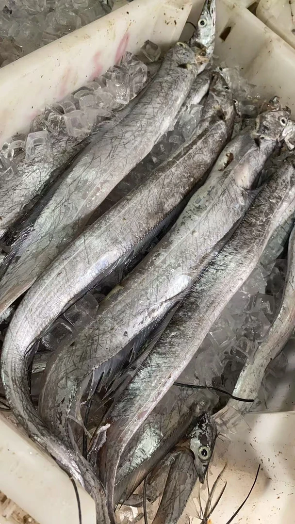 新鲜带鱼鲳鱼每样四斤顺丰包邮