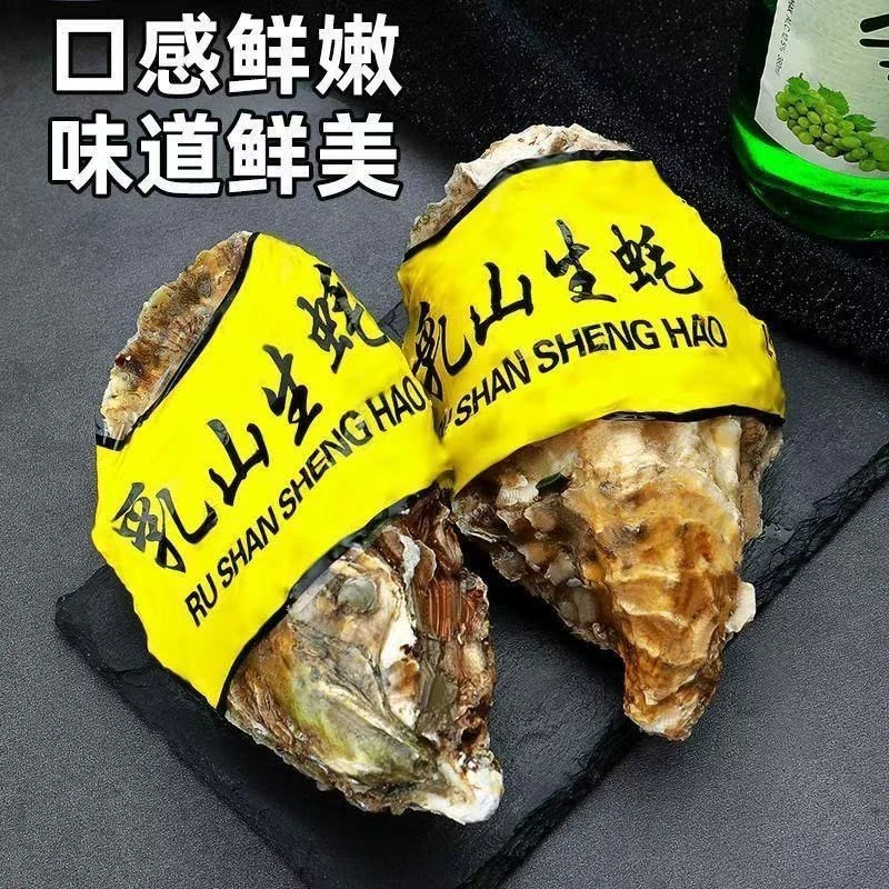 【顺丰快递】乳山新鲜正宗乳山生蚝单个5+12个装6斤