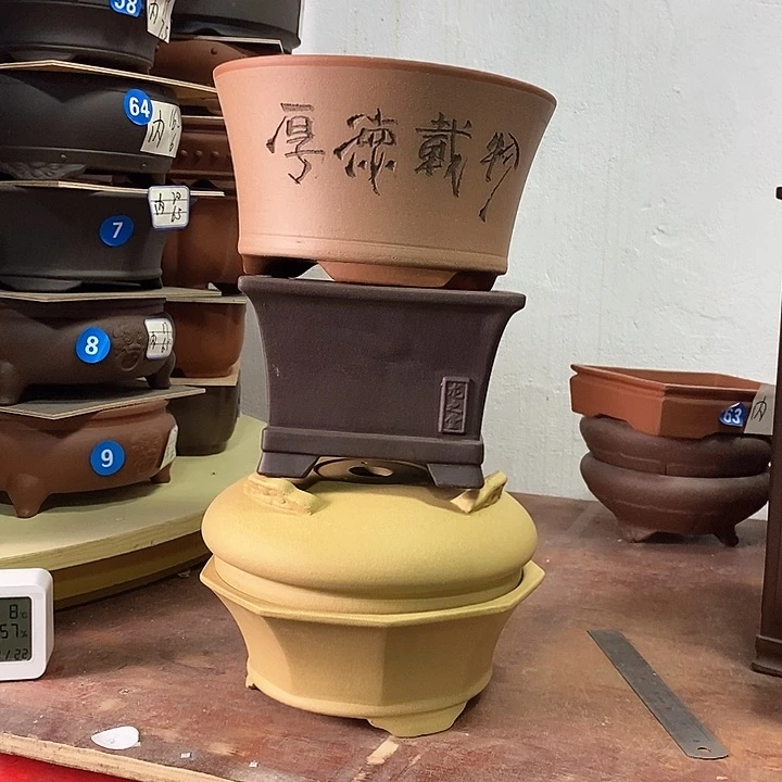 紫砂花盆今天下午