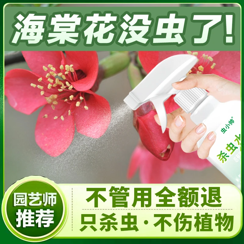 海棠花【只杀虫不伤花】虫虫净杀虫花卉小飞虫植物水乳喷雾家用喷雾