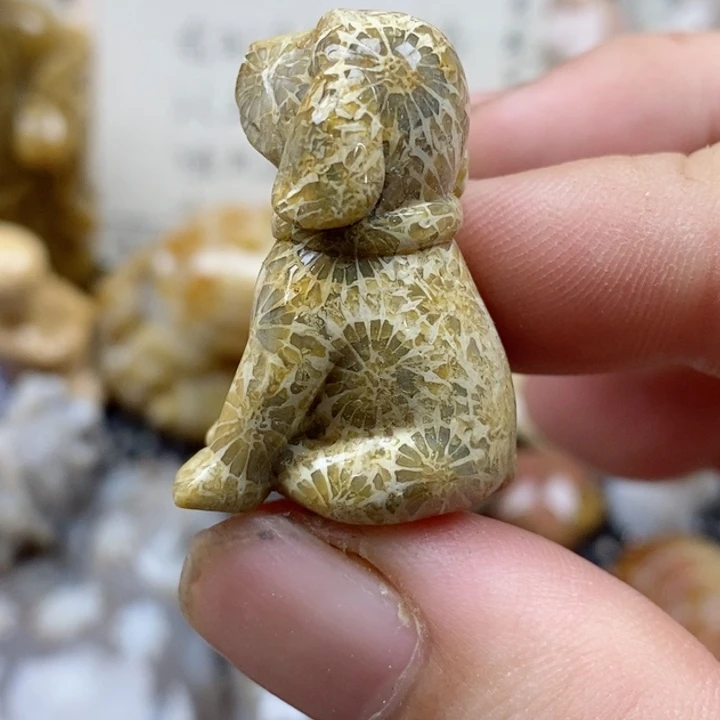 颈饰未镶嵌硅化珊瑚（珊瑚玉）有瑕 小摆件