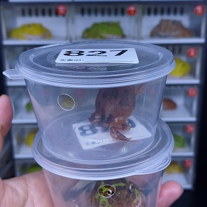 特价特价活动地址