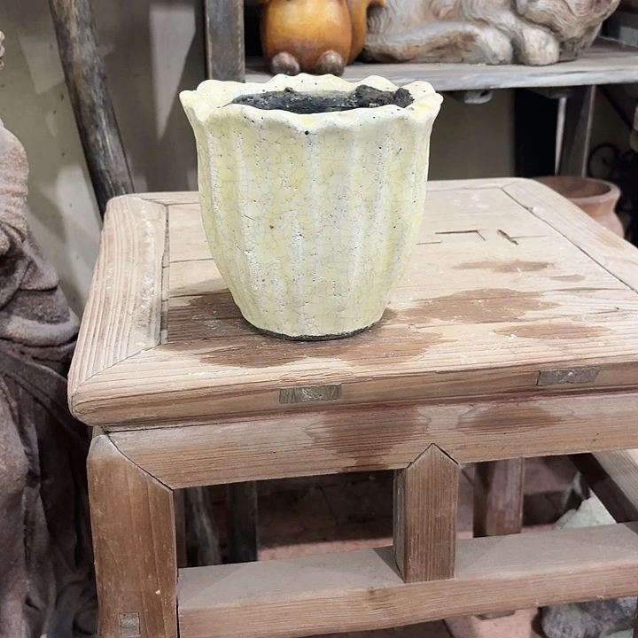 许纯的花房孤品907