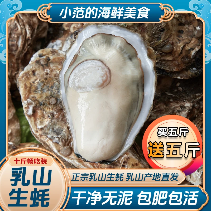 【小范海鲜】5斤送5斤 乳山生蚝牡蛎 源产地现捞直发 鲜活到家