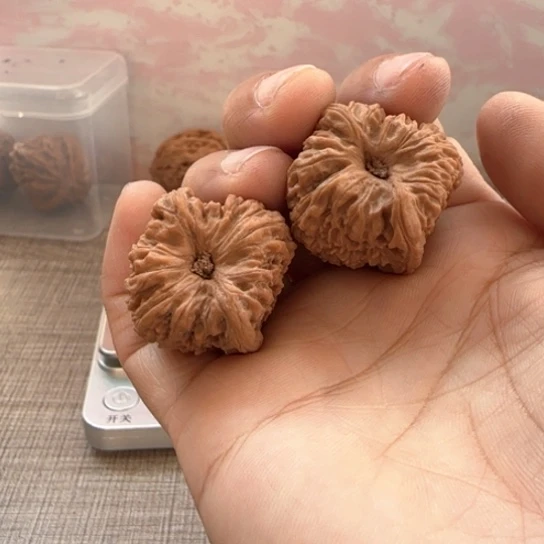 桃核吊坠海**川核桃