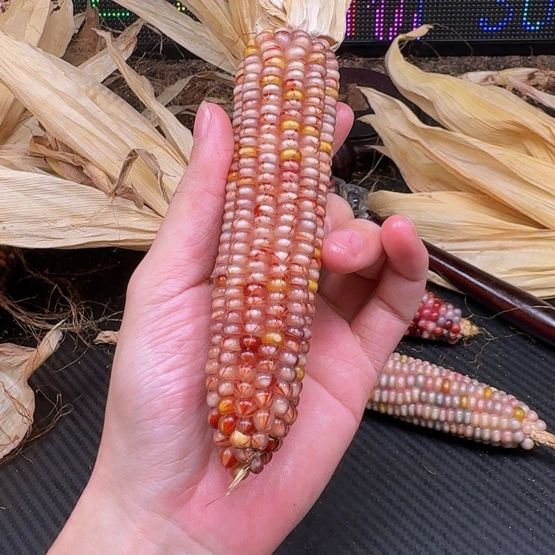 米***乐柏香籽/百香籽吊坠