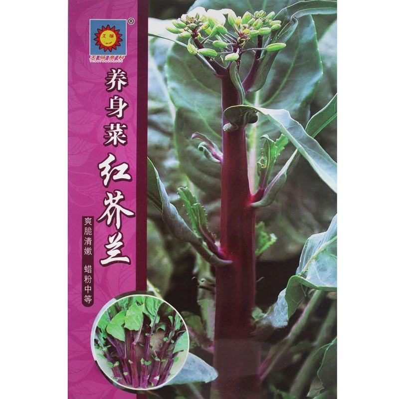 上新*养身菜红芥兰菜种菜心红菜苔孑四季秋秋冬蔬菜高产红脚芥蓝