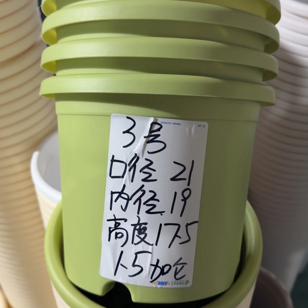 四季3#无拖果绿10个
