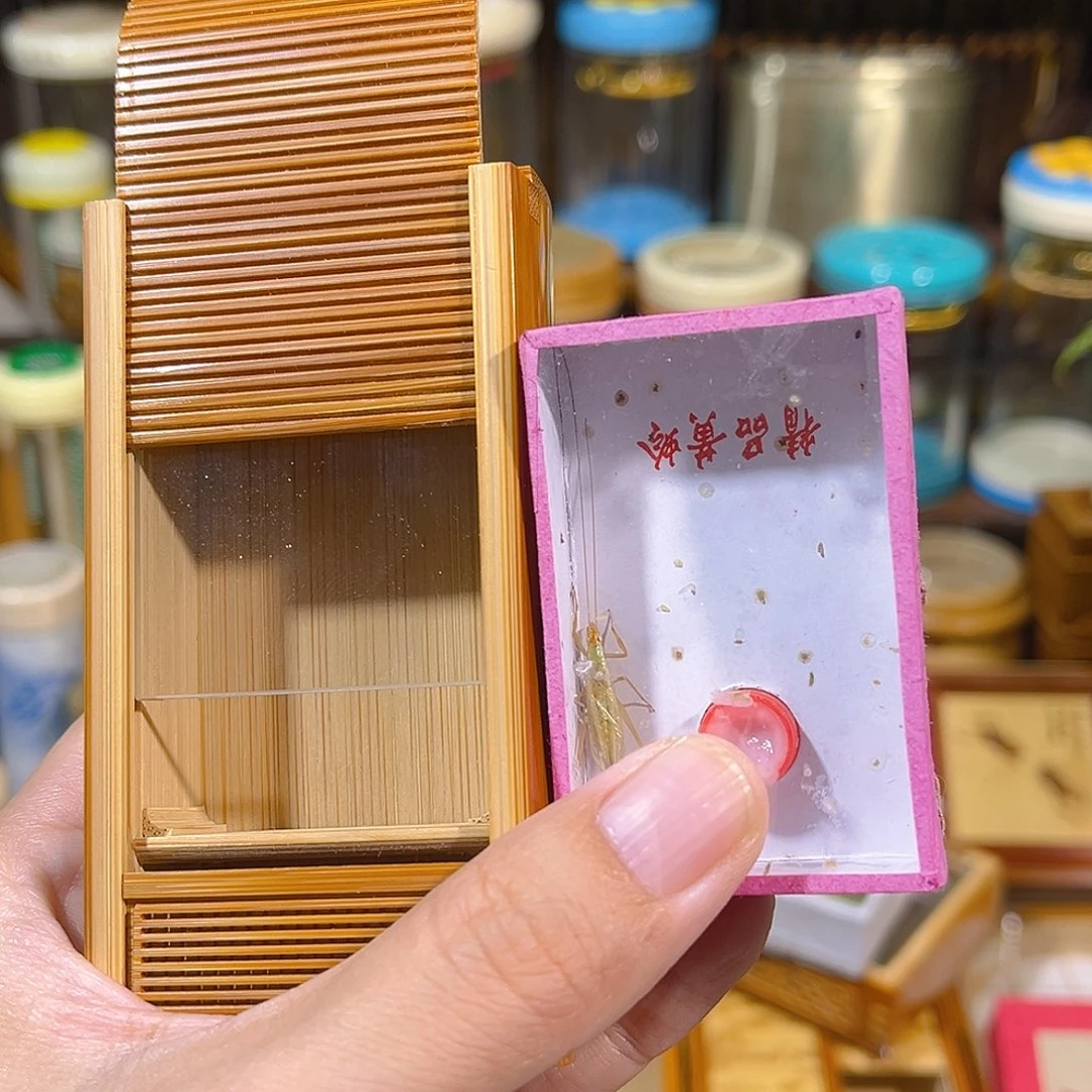 蟋蟀卷帘门竹蛉盒+修紫竹铃