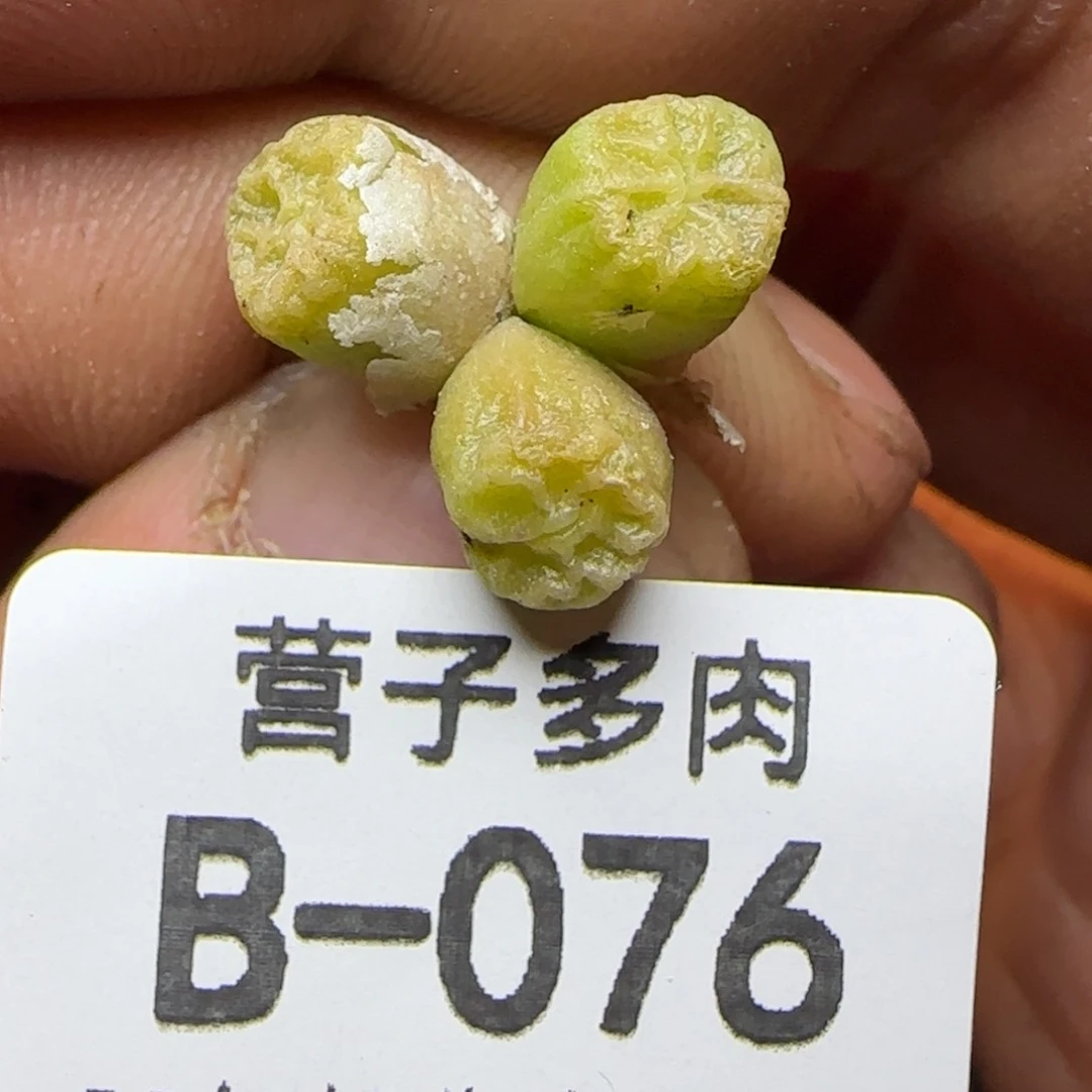1410.657方烧。          