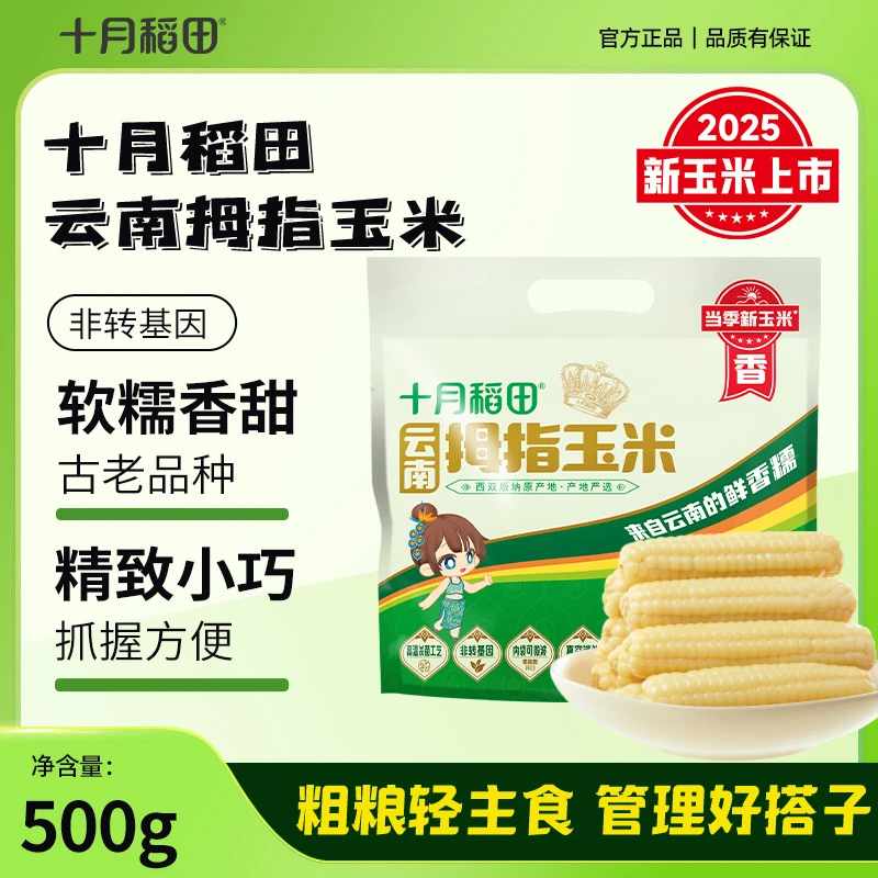 【2025年新玉米上市】十月稻田云南西双版纳拇指玉米500g儿童玉米棒