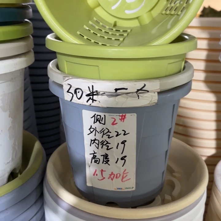 测2#口径22无托果绿5个