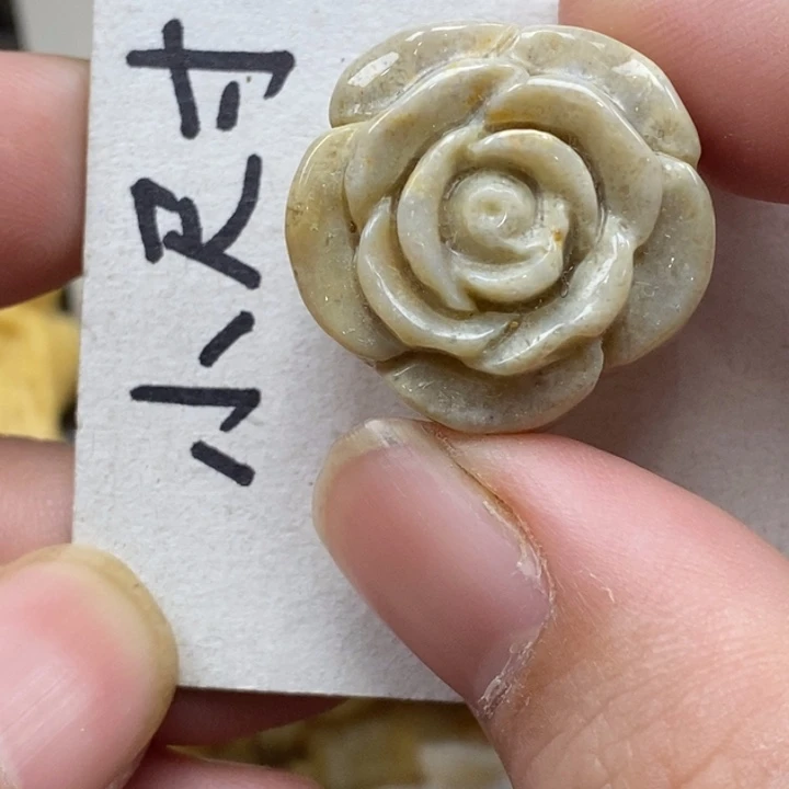 硅化珊瑚（珊瑚玉）未镶嵌颈饰