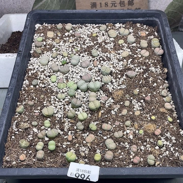 脱土发货00000000000996