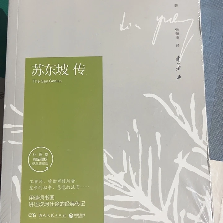 苏东坡传全新推荐