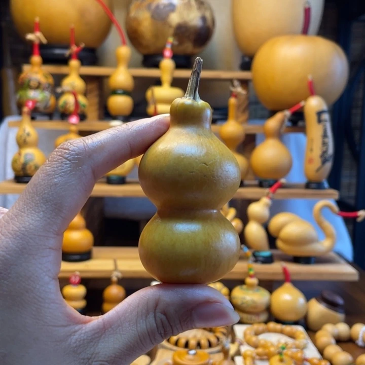 6***6天然葫芦自然生长