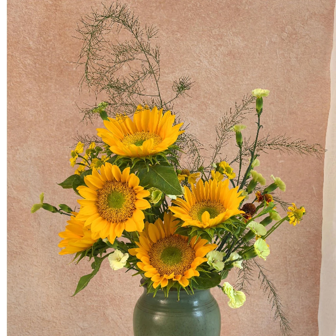 【绿心向日葵】 绿心向日葵花束5支鲜切花卉家用鲜花大号昆明直发