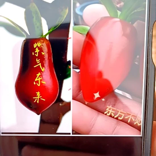 无花朵紫气东来加218