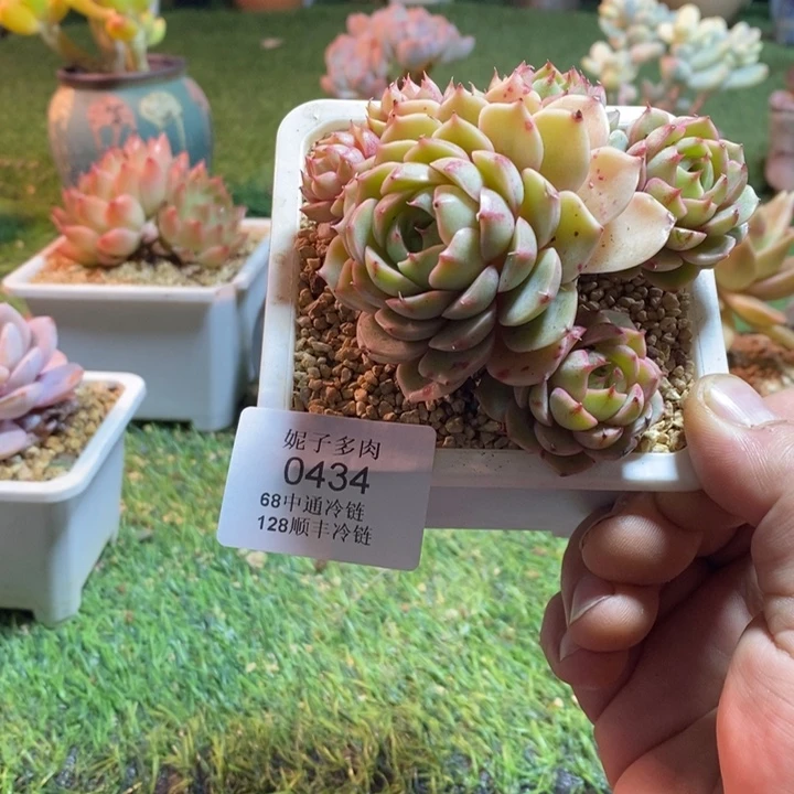 0434啊啊啊啊啊啊啊啊啊啊啊