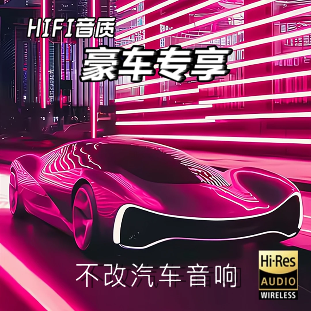 【2025豪华款】无损调音HIFI黑胶唱片音质热门流行歌曲USB 即插即用