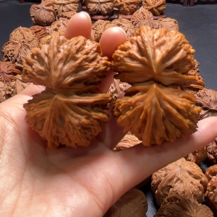 文山连体50尺寸核桃哈哈哈哈哈哈