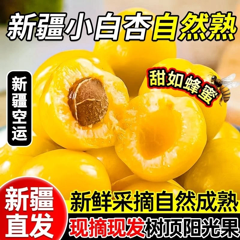 新疆轮台白杏新鲜采摘香甜多汁京东、顺丰随机空运发货直发包邮