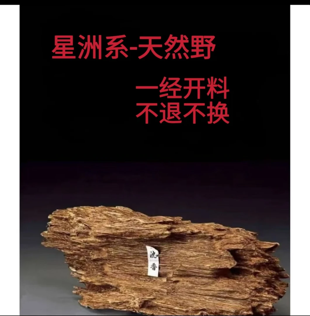 （星洲系）天然野20mm单圈