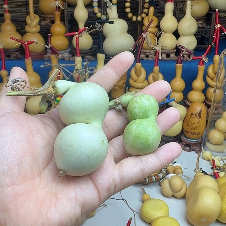 星***愿木特价秒杀，特价秒杀