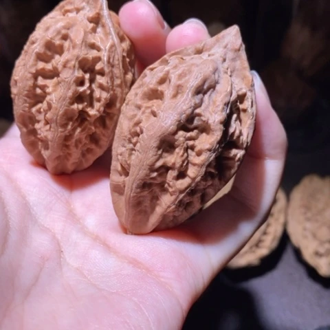 把件文玩核桃东北野生楸子小园 111