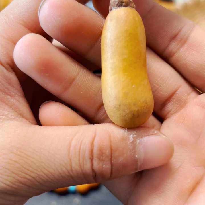 b****n888888888888888888