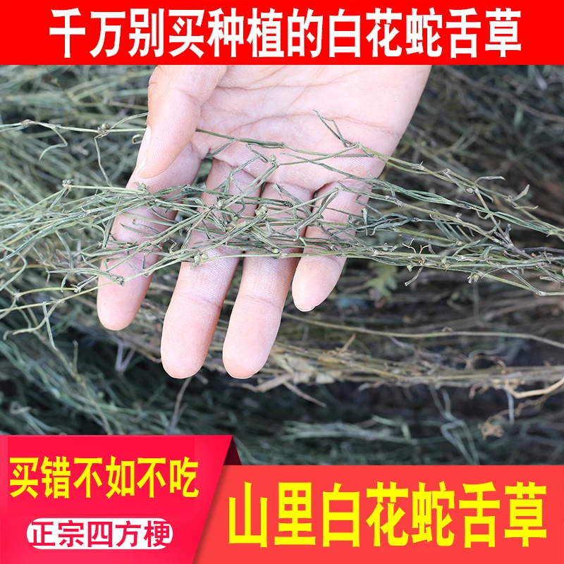 正宗白花蛇舌草干货深山农家晒山货全草乌骨白花蛇舌草新货半枝莲