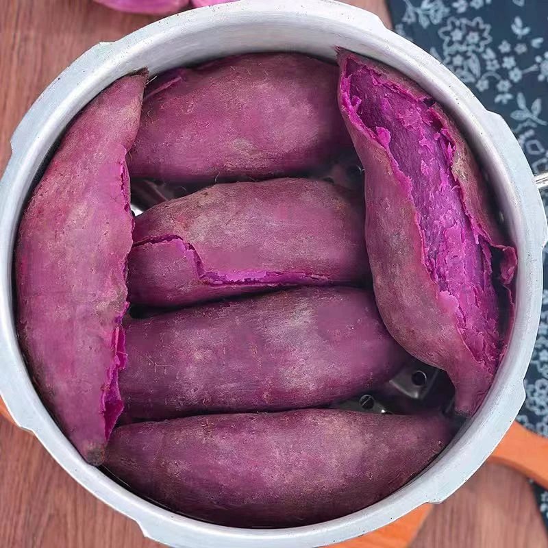 湖北新鲜沙地紫薯现挖粉糯香甜可作宝宝辅食粗粮早餐